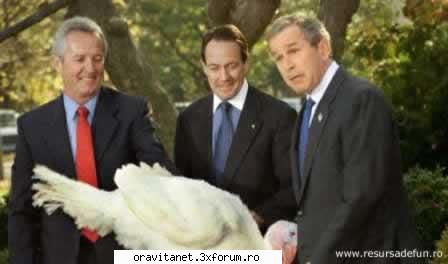 funny pics efectul monica lewinsky